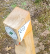 s.66