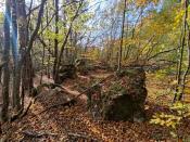 IMG_20221016_134358