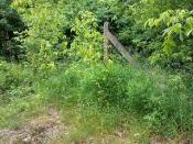 Tu najlepiej zejść