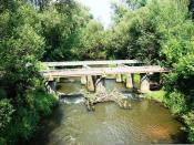 w całej swej okazałości 