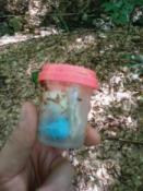 Kesz (nie mam nic do pisania)