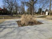Park