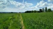 Widok w kieunku południowym