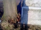 Dokładne miejsce ukrycia