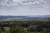 widok
