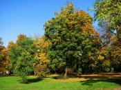 Park z miejscem ukrycia