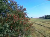 Okoliczności przyrody