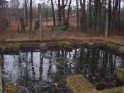 5 - basen do zamrazania organizmów