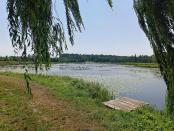 zalew i plaża