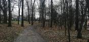 Park 