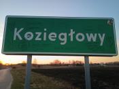 Zdjęcie