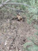 IMG20240407165915_Easy-Resize.com (1)