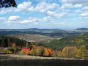 widok na polanę Adamy, Lachowice w dolinie i Beskid Mały