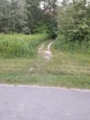 ta ścieżka , idź nią dopóki nie będzie lekkiego skrętu w lewo