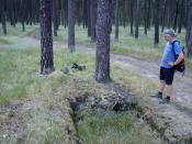 Widok w inną stronę