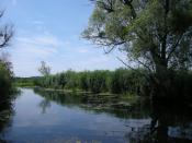 Stąd przypłyniesz