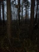 gdzieś tu-inne ujęcie