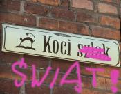 Koci świat
