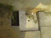 Tam-nie wiem co to udaje ale nie jest podłączone do niczego