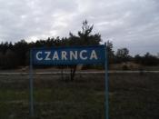 Czarnca