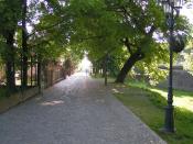 Ulica Pod Kasztanami, po prawej mur zamku