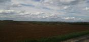 IMG_20210506_141551_resize_7