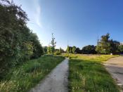 park
