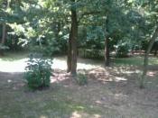 W tych okolicach jest schowany kesz