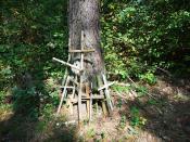 IMG_20240807_131854