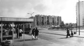Pętla 1982