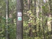 ścieżka rowerowa - czerwona