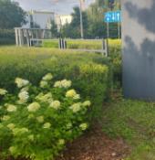 Resizer_175291484573115
