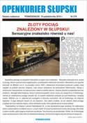 Artykuł z gazety