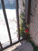 Love locks every where