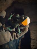 Rapitołza z balom od nas.