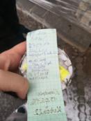 Logbook: Zamiast wpisu, który uzupełniamy niebawem