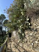 przykład jak wygląda ścieżka