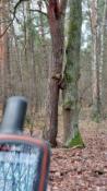 Osobliwości nr 8 OBIĘCIE