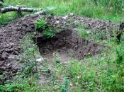 Zdeterminowany geocacher się nakopał ;) Zaraz obok kordów ;P