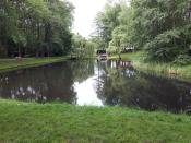 Staw