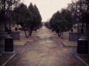 Cmentarz wojenny 1