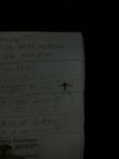 a oto kogo spotkalismy w logbooku :P