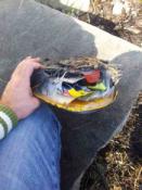 tak wygląda teraz kesz