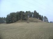 Grodzisko