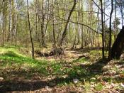 Okolica do posprzątania