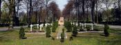 mogiła