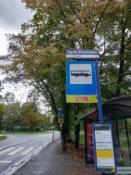 Obok przystanku