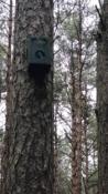 Monitoring 
