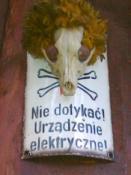 Urządzenie elektryczne