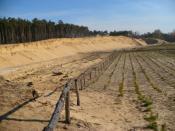 rekultuwacja obszaru po wyrobisku